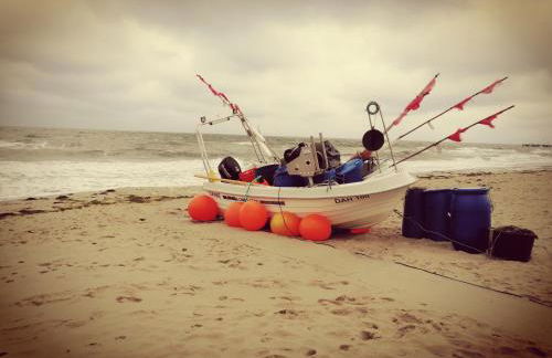 Ferienwohnung "Luv" Grube Ostsee - Foto 54