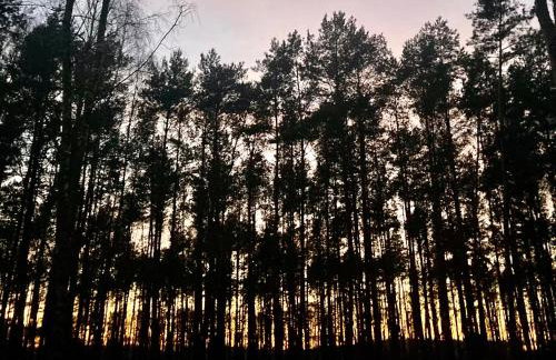 DOMEK W BRZOZACH nad jeziorem z balią na wyłączność - Foto 32