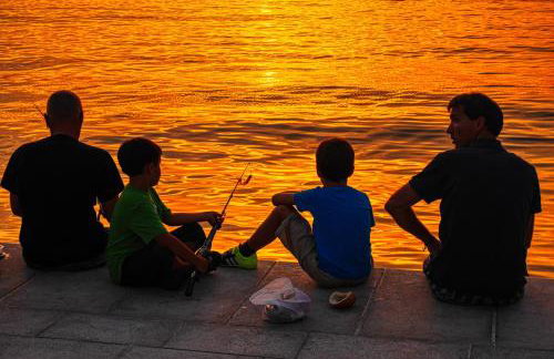 Frank's Place - Foto 24