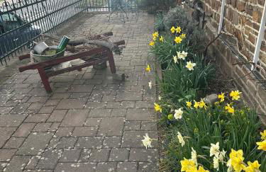 Ferienhaus Löwenherz - Foto 57