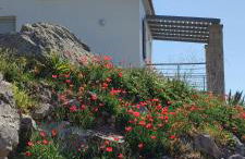 Theasis Limnos - 1st floor suite - Photo 7