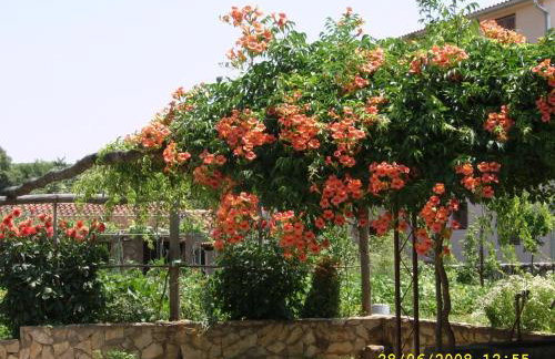 Apartments Cvelic Milovcic - Foto 31