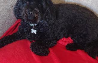 Room with a view - Foto 56