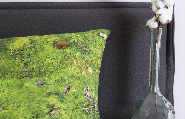 Green Deer Premium - Foto 25