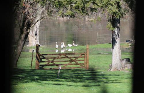 Le Ponton des Sympetrums - Foto 40