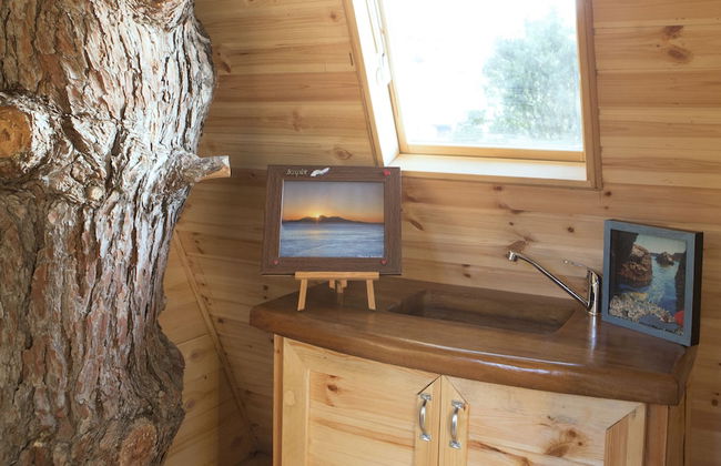 Captain Ikaros - Foto 14