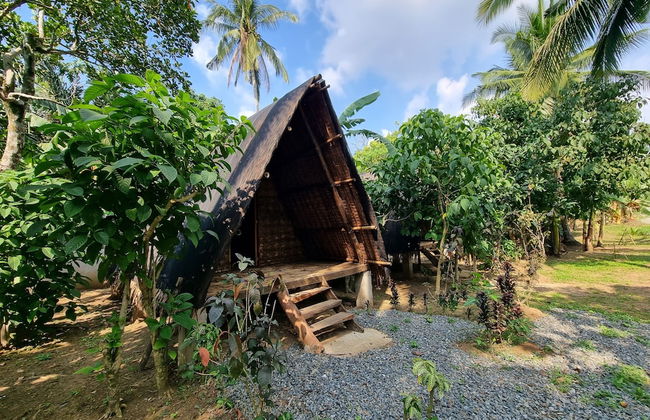 California Breeze Campsite - Foto 18