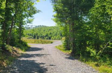 Treehouses at Lake Mountain Manor - Foto 25