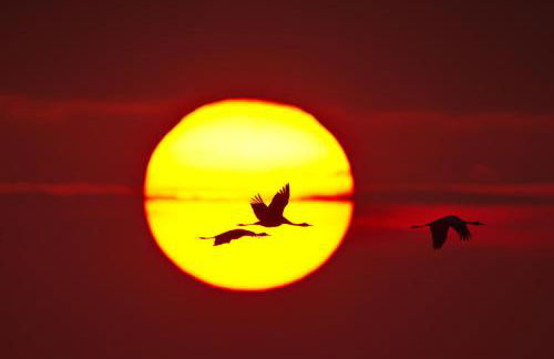 Ferienhaus Tura - Foto 3