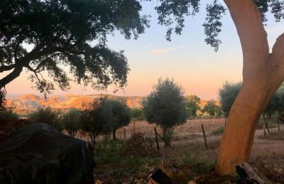 Quinta da Trombeta - Foto 23