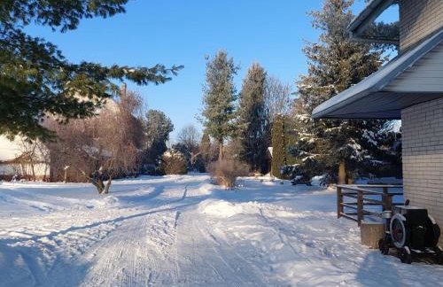 Przystanek Trześcianka - Foto 38