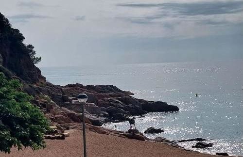 Cala Salions Balandro II Tossa de mar - Foto 24