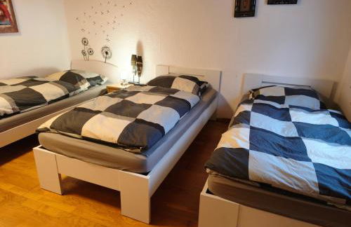 Hillis Ferienwohnung Saarland - Foto 14