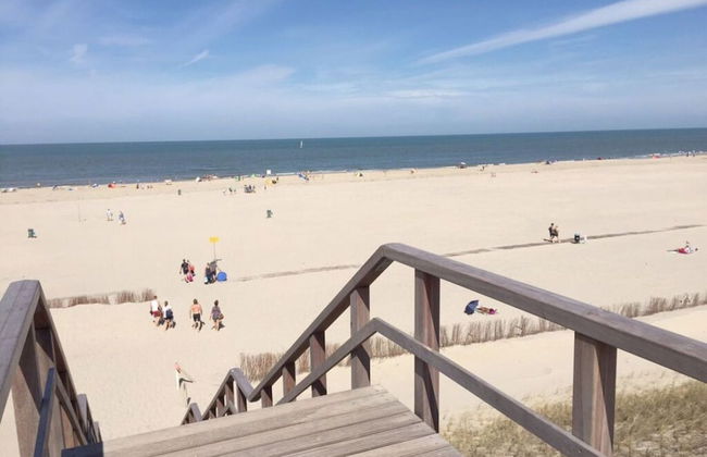 1 From Fam. Moritz Koopman - Foto 10