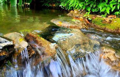 Eco Charme Da Bodoquena - Foto 4