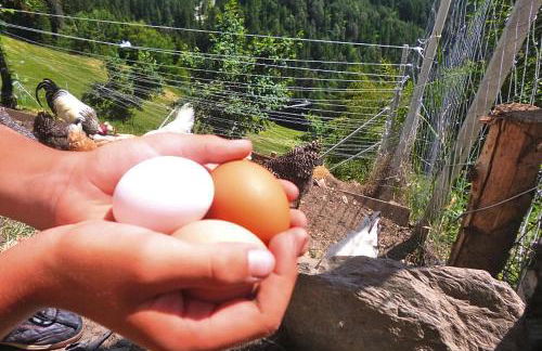 Chalet in Funes Valley with Dolomites Views - Foto 17