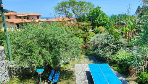 Villetta Sant'Andrea - Goelba - Foto 3, Garden