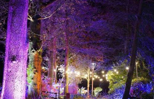 New Forest lodge - 194 NO PETS - Photo 25