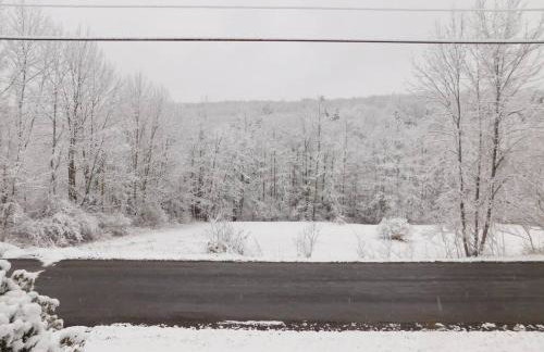 Catskill Mountain Retreat - Foto 51