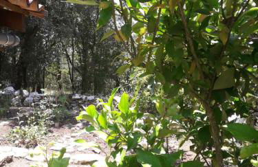 Casa Hozani - Photo 24