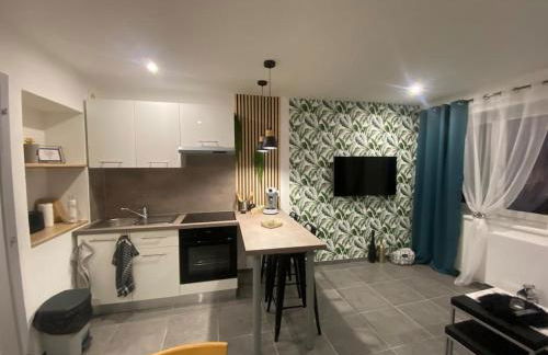 Place du bonheur bel appartement f2 - Foto 4