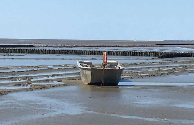 Freie Sicht Das Nordsee-Gesundheitshaus 2 - Foto 38