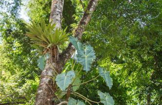Recanto da Margo 1, casa com acesso a cachoeira - Foto 16