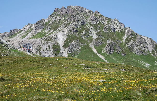 Bohemia Apartments - Foto 35