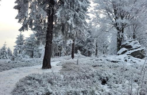 Studio "Auszeit wie dahoam" im Predigtstuhl Resort - Foto 24