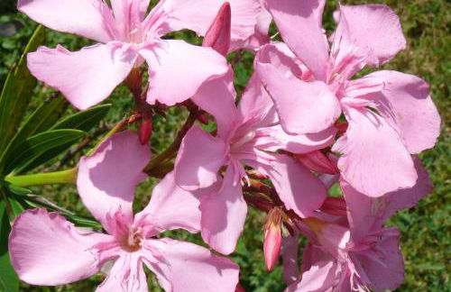 Casa vacanze Ester - Photo 63