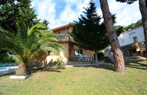 Museu Baixos - Foto 15