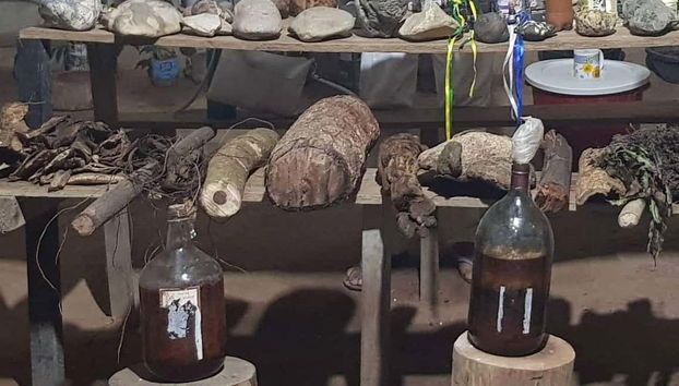 Plantas medicinales usadas durante el ritual