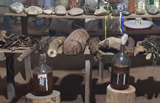 Cerimônia de ayahuasca em Puerto Inca - Foto 4