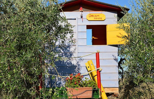 Tenuta Di Pontesodo - Foto 27