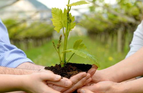 Agriturismo Maso Grener - Foto 26