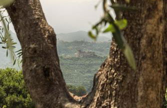 Villa Serena - Foto 46