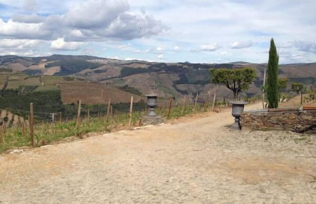 Quinta dos Espinheiros - Foto 28