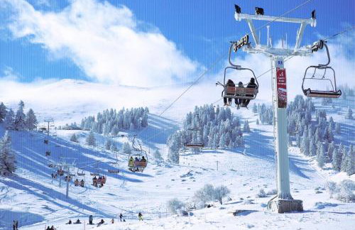 Elea Guesthouse - Photo 57