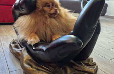 Honey House - vista lago e montagne - Foto 38