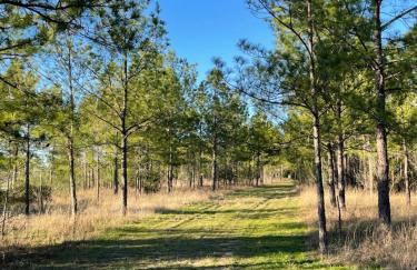 Country Getaway 4 Bedroom Resort in 10 Acre Lot - Foto 57