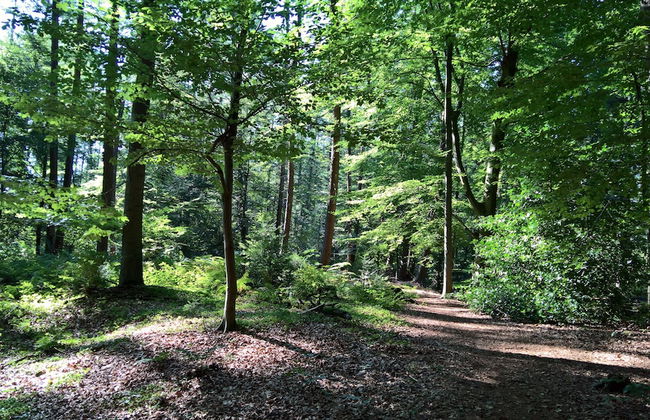 FeWo-Schuberski - Photo 18