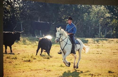 Les Oliviers de Camargue - Foto 35