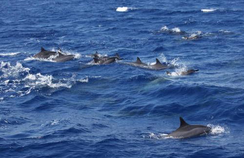 Colony Villas At Waikoloa Beach Resort #1305 3 Bedroom Villa by RedAwning - Foto 114