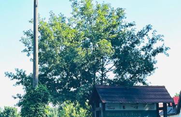 Ferienwohnung Zur Alten Tischlerei - Photo 26