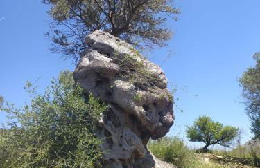 Casa della Nonna - Foto 58