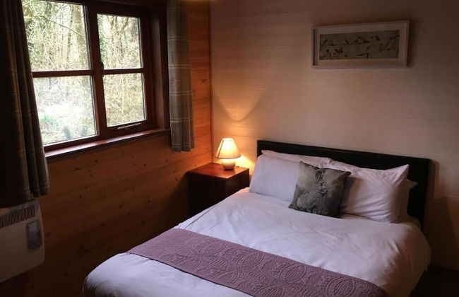 Shrew Lodge Hot Tub - Foto 2