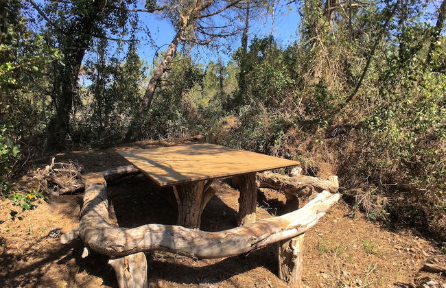 Charm in Castagneto Carducci - Foto 28