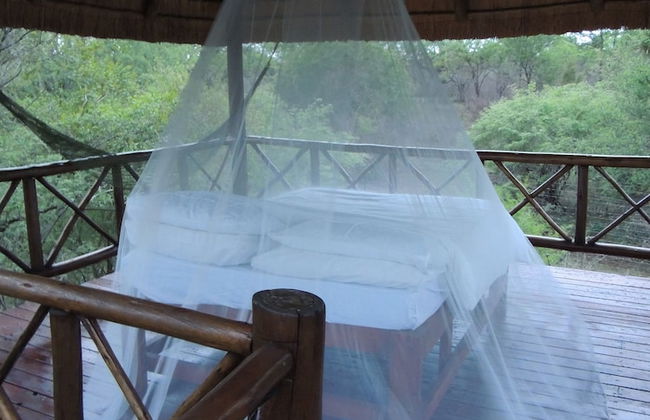 Lion Tree Bush Lodge - Foto 19