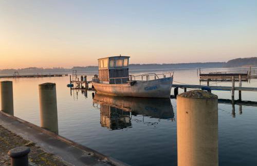 Familiennest am MüritzSee mit Kamin & Sauna - Foto 60