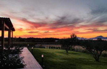 Olive Tree Garden - Foto 6